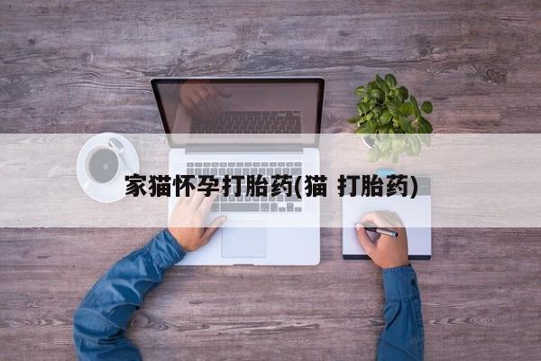 流产药购买微信家猫怀孕打胎药(猫 打胎药)